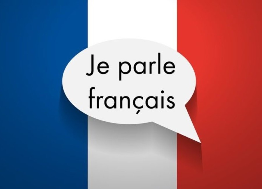 Francoska slovnica