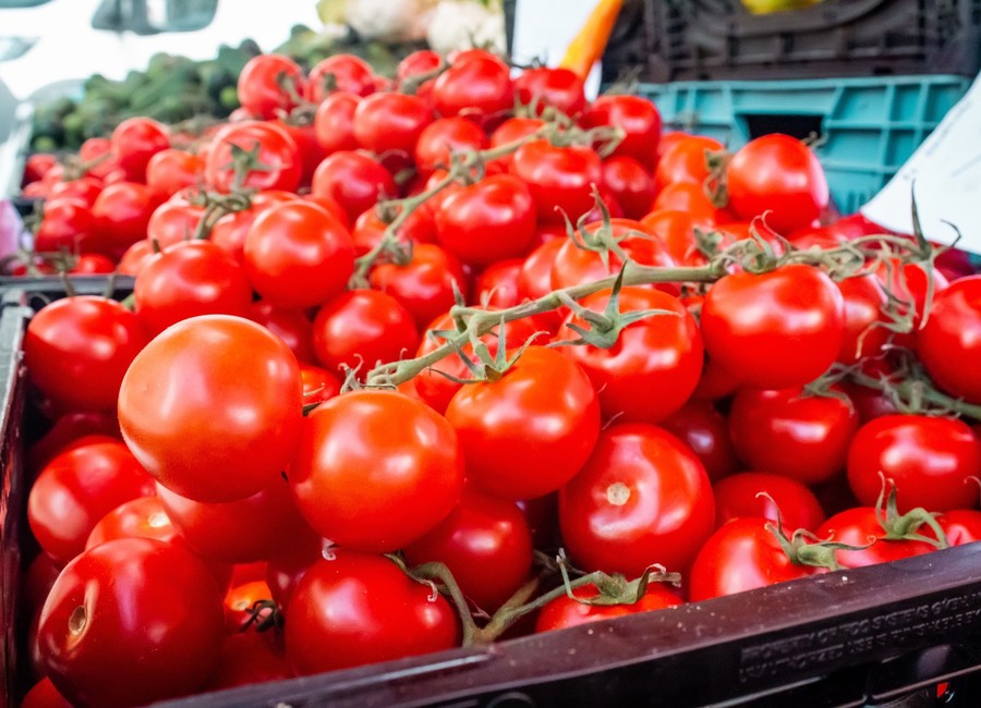 Tematska španščina: Fiestas de verano - San Fermines y tomatina