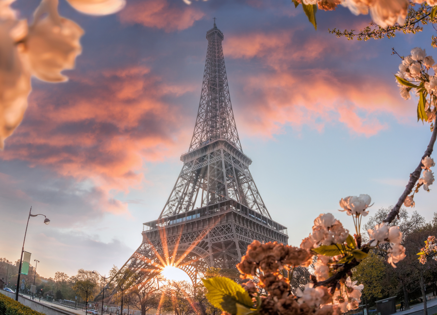 Tečaj spomladanske francoščine